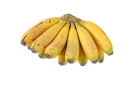 Foto de Ramo de frutas de plátano maduras con manchas de azúcar aisladas en blanco. Cavendish variedad de Musa acuminata. - Imagen libre de derechos