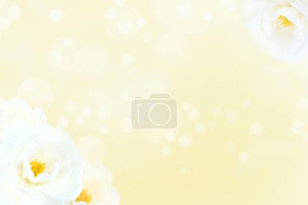 Téléchargez les photos : Roses blanches et bourgeons dans le coin du fond de couleur beurre flou. En-tête Web avec espace de copie. - en image libre de droit