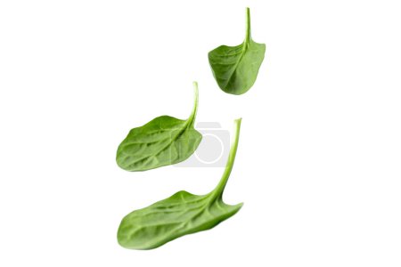 Heap of fresh green spinach leaves isolated on white. Leafy vegetables. Healthy eating and vegetarian diet. Spinacia oleracea plant.