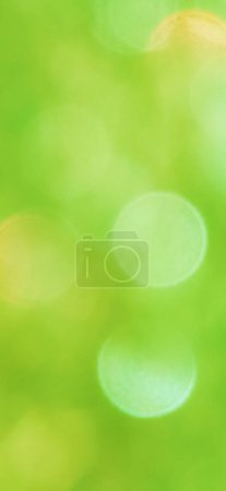 Vert jaune flou mousseux nature fond d'écran de téléphone mobile. Herbe fraîche de printemps avec gouttes d'eau bokeh. Lumière du soleil dans les feuilles des plantes