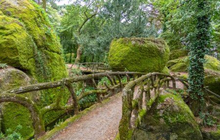 Enchanted forest landscape with large mossy boulders and fenced walking trails in the Lake of the Good Jesus Park in Braga, Portugal.