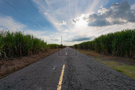 Téléchargez les photos : Route asphaltée et paysage rural, ciel bleu avec nuages - en image libre de droit