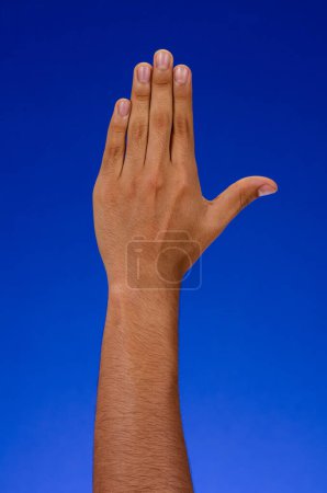 Téléchargez les photos : Raised hand making stop or permission sign, on a blue background - en image libre de droit