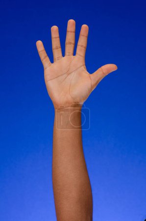 Téléchargez les photos : Main masculine ouverte sur fond bleu - en image libre de droit