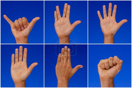 Foto de Collection of hands gesturing, on blue background - Imagen libre de derechos