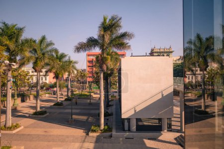 Photo for Modern building surrounded by palm trees in a tropical city. - Royalty Free Image