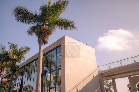 Téléchargez les photos : Bâtiment moderne entouré de palmiers dans une ville tropicale. - en image libre de droit