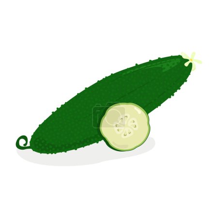 Foto de Icono de pepino vector ilustración diseño aislado Vegetarianismo y concepto de alimentos orgánicos - Imagen libre de derechos