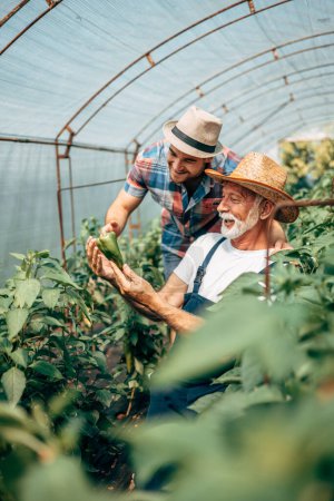 Foto de Feliz abuelo trabajando junto con su nieto en el negocio de invernadero familiar. Están posando y mirando a la cámara. - Imagen libre de derechos