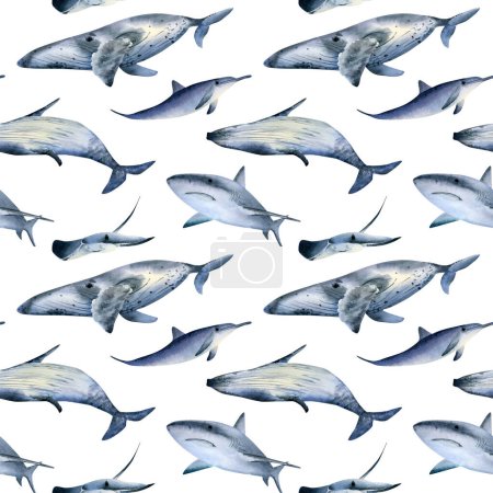 Téléchargez les photos : Modèle d'animaux marins sans couture. Aquarelle fond avec baleine à bosse de mer, requin, dauphin, raie pour textile, fonds d'écran, papier d'emballage - en image libre de droit