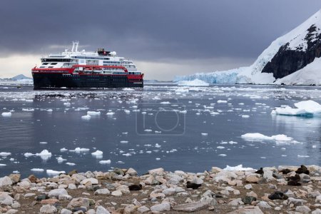 Téléchargez les photos : Jour 5 - Port de Neko - Petite baie côté est de la baie d'Andvord entourée de glaciers Activbe - en image libre de droit