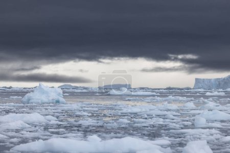 Téléchargez les photos : Jour 5 - Port de Neko - Petite baie côté est de la baie d'Andvord entourée de glaciers Activbe - en image libre de droit