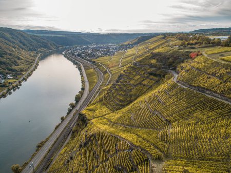 Photo for Aerial view Famous German Wine Region Moselle River Lay and Guels village Autumn Fall colors. - Royalty Free Image