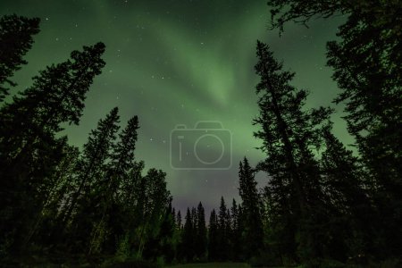 Foto de Vista de la brillante Aurora verde que brilla sobre el paisaje forestal brumoso sueco en Tannfforsen Cascada rayos de luz Luces del Norte cielo de color en diferentes colores suaves, norte de Suecia, Escandinavia - Imagen libre de derechos