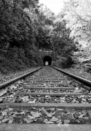 Téléchargez les photos : Un chemin de fer dans la forêt de printemps. Tunnel des rails, des arbres et du chemin de fer. - en image libre de droit