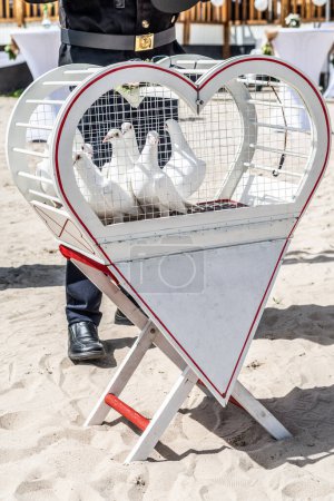 Téléchargez les photos : Mariage libérant colombes blanches sur une journée ensoleillée dans une cage. - en image libre de droit