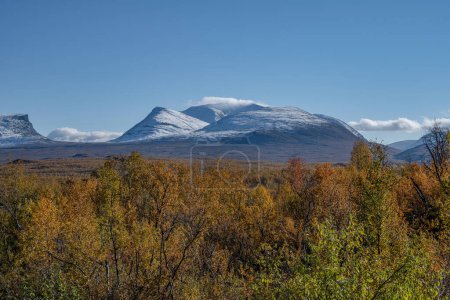 Photo for Autumn season in Abisko with mountains in background, Abisko, Swedish Lapland, Sweden. - Royalty Free Image