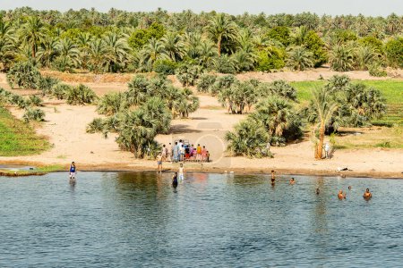 Téléchargez les photos : Vue panoramique sur les rives fertiles du Nil et la vie quotidienne pendant la croisière fluviale Rivière près de Louxor en Egypte direction assuan. - en image libre de droit