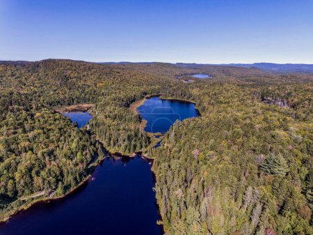 Téléchargez les photos : Vue sur la forêt près du lac dans le parc national de la Mauricie Québec, Canada par une belle journée. - en image libre de droit