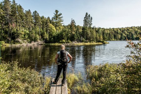 Téléchargez les photos : Randonnée pédestre dans la forêt près du lac dans le parc national de la Mauricie Québec, Canada par une belle journée. - en image libre de droit