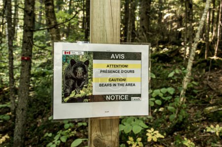 Téléchargez les photos : Panneau avertissant les randonneurs de se méfier du parc national de la Mauricie Québec, Canada par une belle journée. - en image libre de droit