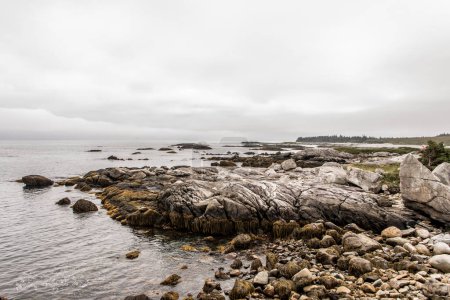 Téléchargez les photos : Exploration de la plage le matin au parc national Kejimkujik Seaside, Nouvelle-Écosse, Canada. - en image libre de droit