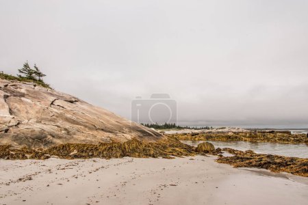 Foto de Explorando la playa por la mañana en el Parque Nacional Kejimkujik Seaside, Nueva Escocia, Canadá. - Imagen libre de derechos