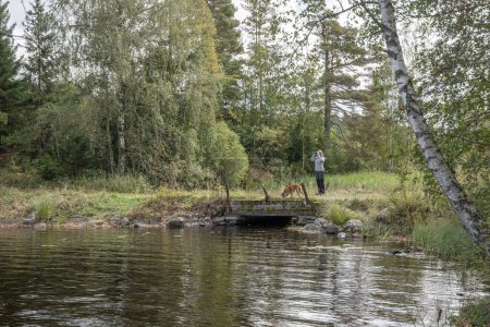 Téléchargez les photos : Fille randonnée au lac Ragnerudssjoen en Dalsland Suède belle forêt naturelle pinetree suédois. - en image libre de droit