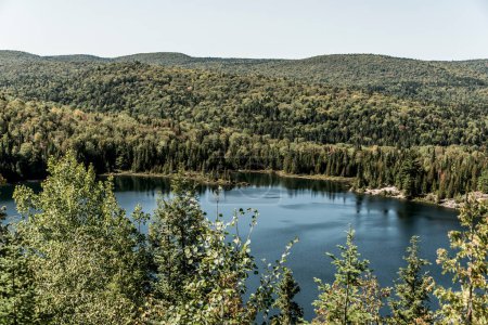 Photo for View on the Forest near lake in La Mauricie National Park Quebec, Canada on a beautiful day. - Royalty Free Image