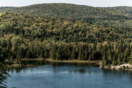 Foto de Vista del bosque cerca del lago en el Parque Nacional La Mauricie Quebec, Canadá en un hermoso día. - Imagen libre de derechos