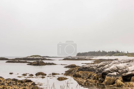 Foto de Explorando la playa en la mañana de niebla en el Parque Nacional Kejimkujik Seaside, Nueva Escocia, Canadá. - Imagen libre de derechos