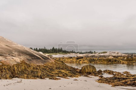 Foto de Explorando la playa por la mañana en el Parque Nacional Kejimkujik Seaside, Nueva Escocia, Canadá. - Imagen libre de derechos