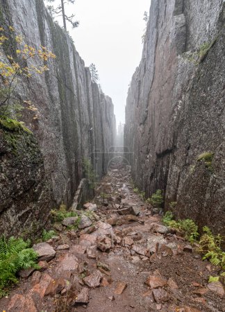 Téléchargez les photos : Slattdalsskrevan Canyon dans le parc national Skuleskogen crevasse étroite dans la roche solide par une journée nuageuse Randonnée Sentier High Coast en Suède - en image libre de droit