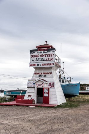 Téléchargez les photos : 17.09.2017 Île du Cap-Breton Canada Pleasant Bay Marina Excursion en bateau dans un village de pêcheurs Observation des baleines Sentier Cabot Nouvelle-Écosse Highlands - en image libre de droit
