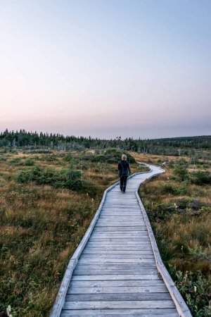 Girl hiking outdoor wooden trail mooreland Cape Breton Island Coast Nova Scotia Highlands Canada.