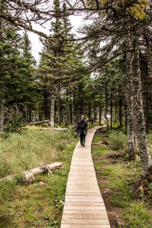 Foto de Chica Senderismo Montaña sendero escénico después de la lluvia Green forest hill Cape Breton Highlands National Park Nova Scotia Canada. - Imagen libre de derechos
