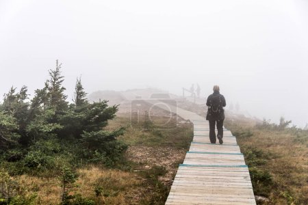 Foto de Nubes y niebla sobre el Golfo de San Lorenzo desde el paseo marítimo en el Skyline Trail en el Parque Nacional Cape Breton Highlands, Nueva Escocia. - Imagen libre de derechos