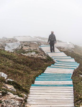 Téléchargez les photos : Nuages et brouillard au-dessus du golfe du Saint-Laurent depuis la promenade sur le sentier Skyline dans le parc national des Hautes-Terres-du-Cap-Breton (Nouvelle-Écosse). - en image libre de droit