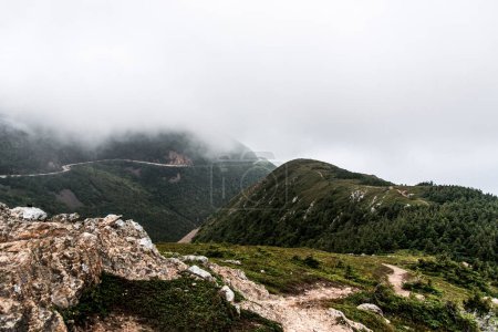 Téléchargez les photos : Sentier pittoresque de montagne après la pluie Colline forestière verte couverte de brouillard Parc national des Hautes-Terres-du-Cap-Breton Nouvelle-Écosse Canada. - en image libre de droit