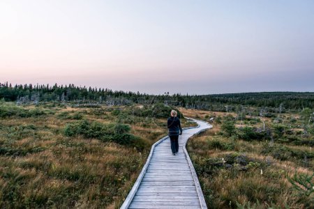 Foto de Senderismo chica sendero de madera al aire libre páramo Cape Breton Island Coast Nova Scotia Highlands Canadá. - Imagen libre de derechos