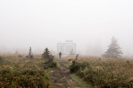 Foto de Chica senderismo Montaña sendero escénico después de la lluvia Green forest hill covered by fog Cape Breton Highlands National Park Nova Scotia Canada. - Imagen libre de derechos