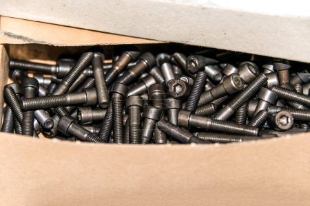 Photo for Cardboard box with small construction storage compartments filled with screws, nuts, bolts workshop tools. - Royalty Free Image