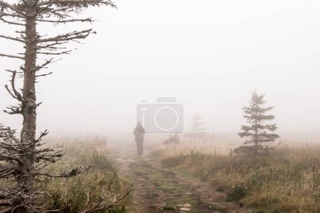 Foto de Chica senderismo Montaña sendero escénico después de la lluvia Green forest hill covered by fog Cape Breton Highlands National Park Nova Scotia Canada. - Imagen libre de derechos