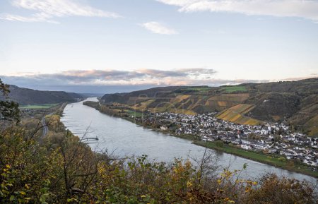 Foto de Autumn Vibes on Wineyards en Alemania agua del río Rin en Andernach cerca de Koblenz transporte de agua buques de carga Fall Colors - Imagen libre de derechos