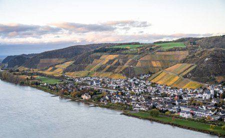 Téléchargez les photos : Automne Vibes sur les vignobles en Allemagne l'eau du Rhin en andernach près de Coblence bateaux de transport de marchandises de l'eau Couleurs d'automne - en image libre de droit