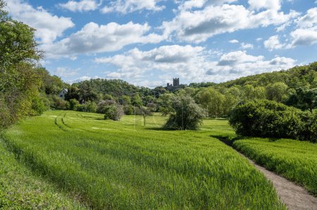 Téléchargez les photos : Image panoramique de l'ancien château Wernerseck pendant l'été à Eifel, Rhénanie-Palatinat, Allemagne près de la ville OCHTENDUNG. - en image libre de droit