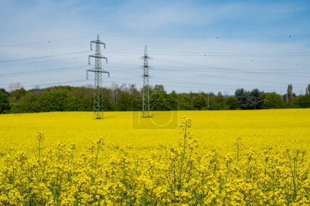 Photo for Power line in rapeseed field. Beautiful flowering canola, electricity pylons and cloudy sky in background. Industry, agriculture, environment. - Royalty Free Image