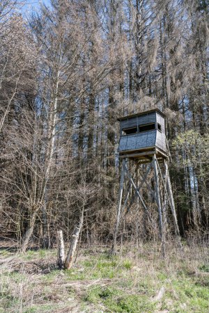 Téléchargez les photos : Un siège de chasseurs dans les bois entourés d'arbres en hiver. Vu dans une forêt allemande. - en image libre de droit