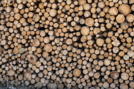 Téléchargez les photos : Photo abstraite d'une pile de billes de bois naturel fond bois de chauffage haché sec prêt pour l'hiver - en image libre de droit