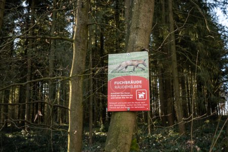 Téléchargez les photos : Signe d'avertissement allemand pour chien à gale démodectique généralisée, alopécie généralisée de Fox in the Forest. - en image libre de droit